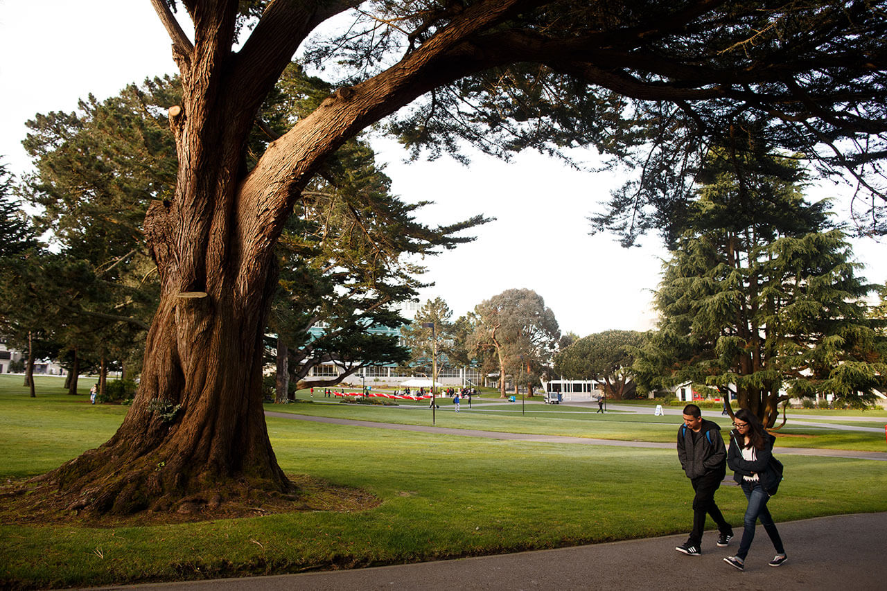 SFSU grounds